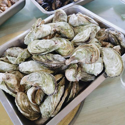 Tom温馨友情提醒30秒应用界面展示